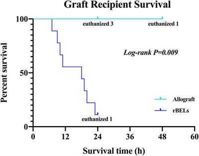 Re-Endothelialization of Decellularized Liver Scaffolds: A Step for Bioengineered Liver Transplantation